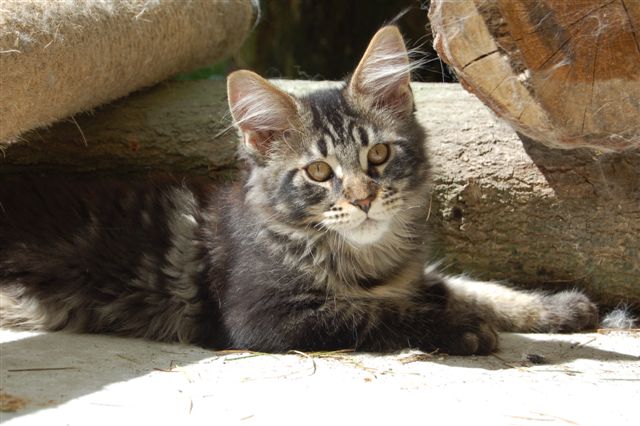 youp gaga en nina week 15 044.jpg